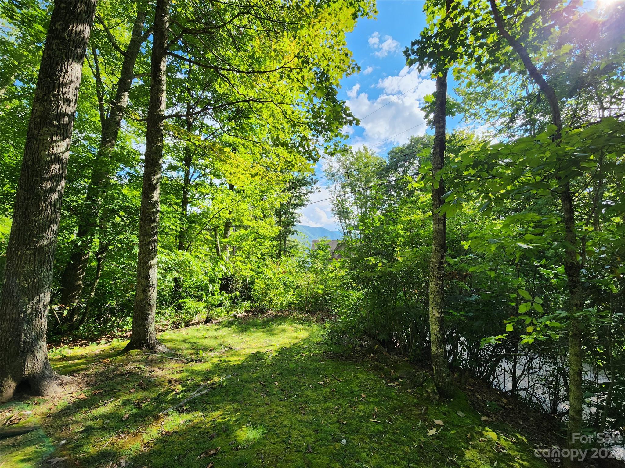 Sheepback Mountain Estates - Residential