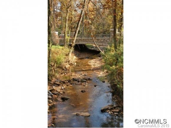 Ramble Biltmore Forest - Land