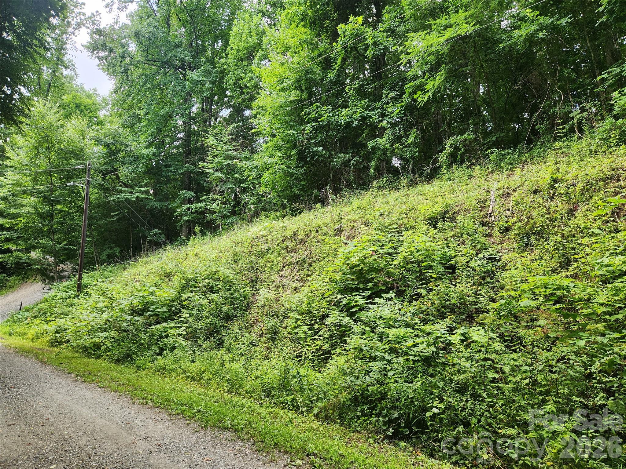 000 Jacks Knob Road