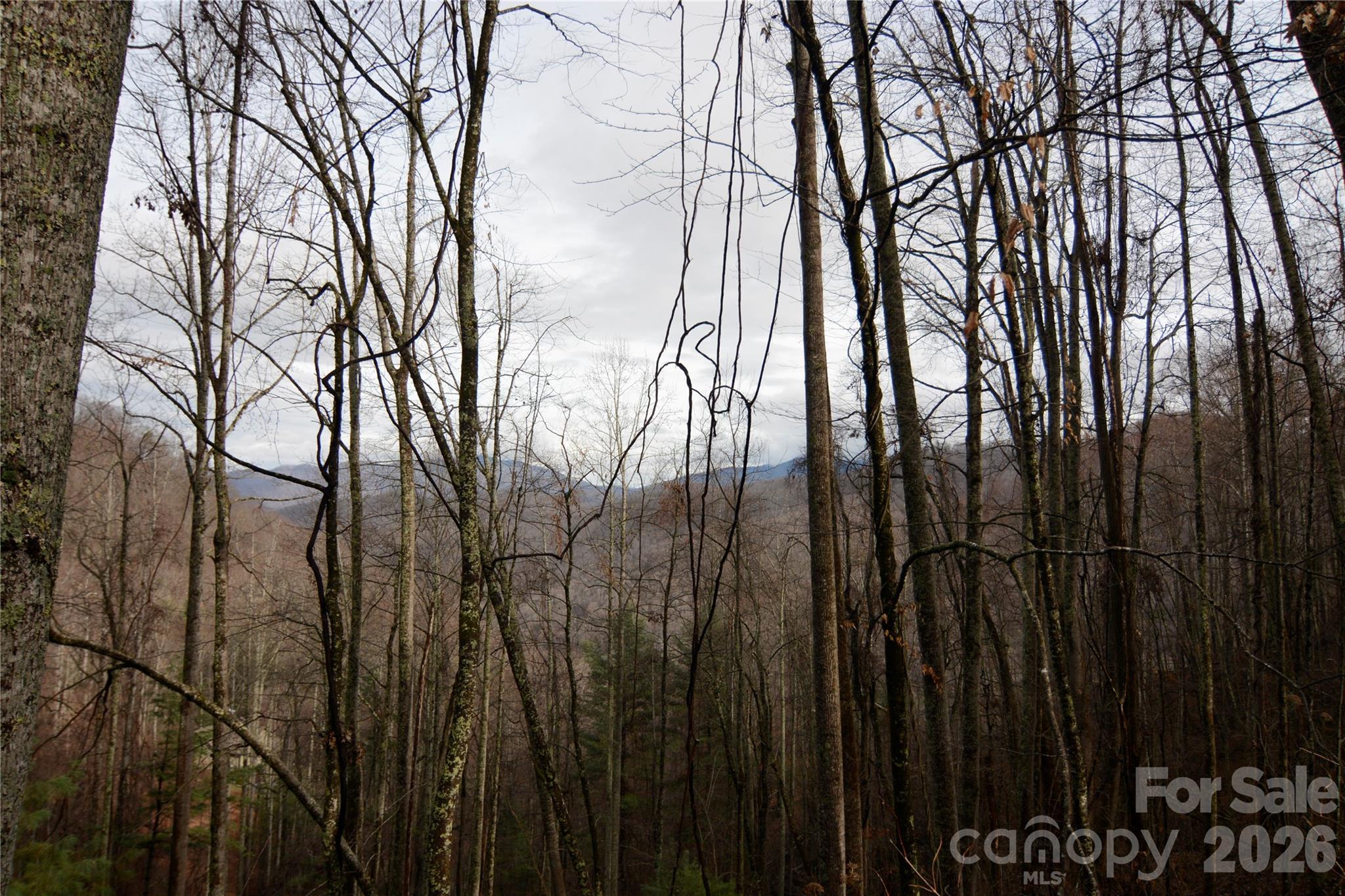000 Jacks Knob Road