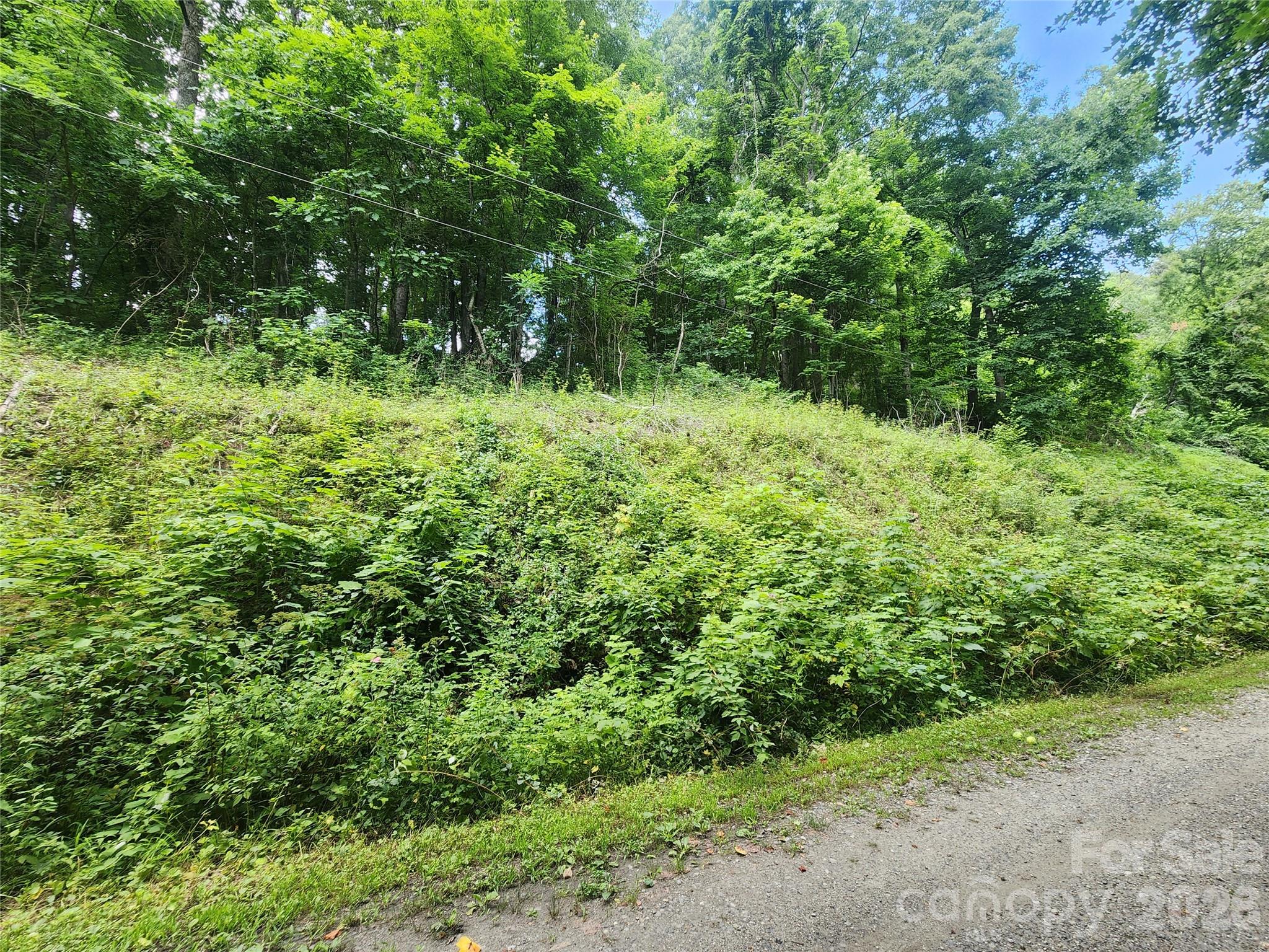 000 Jacks Knob Road, Weaverville, NC, 28787