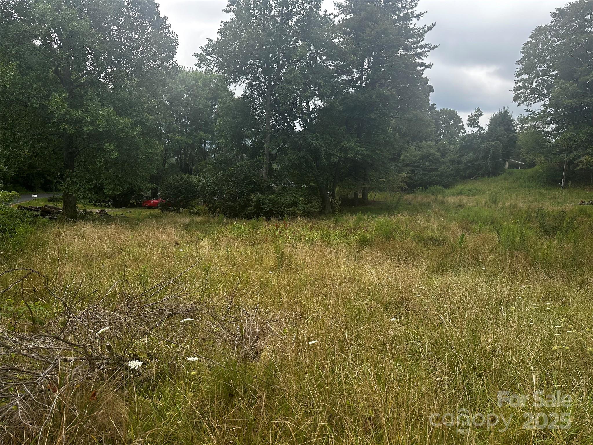 539 Saw Mill Hollow