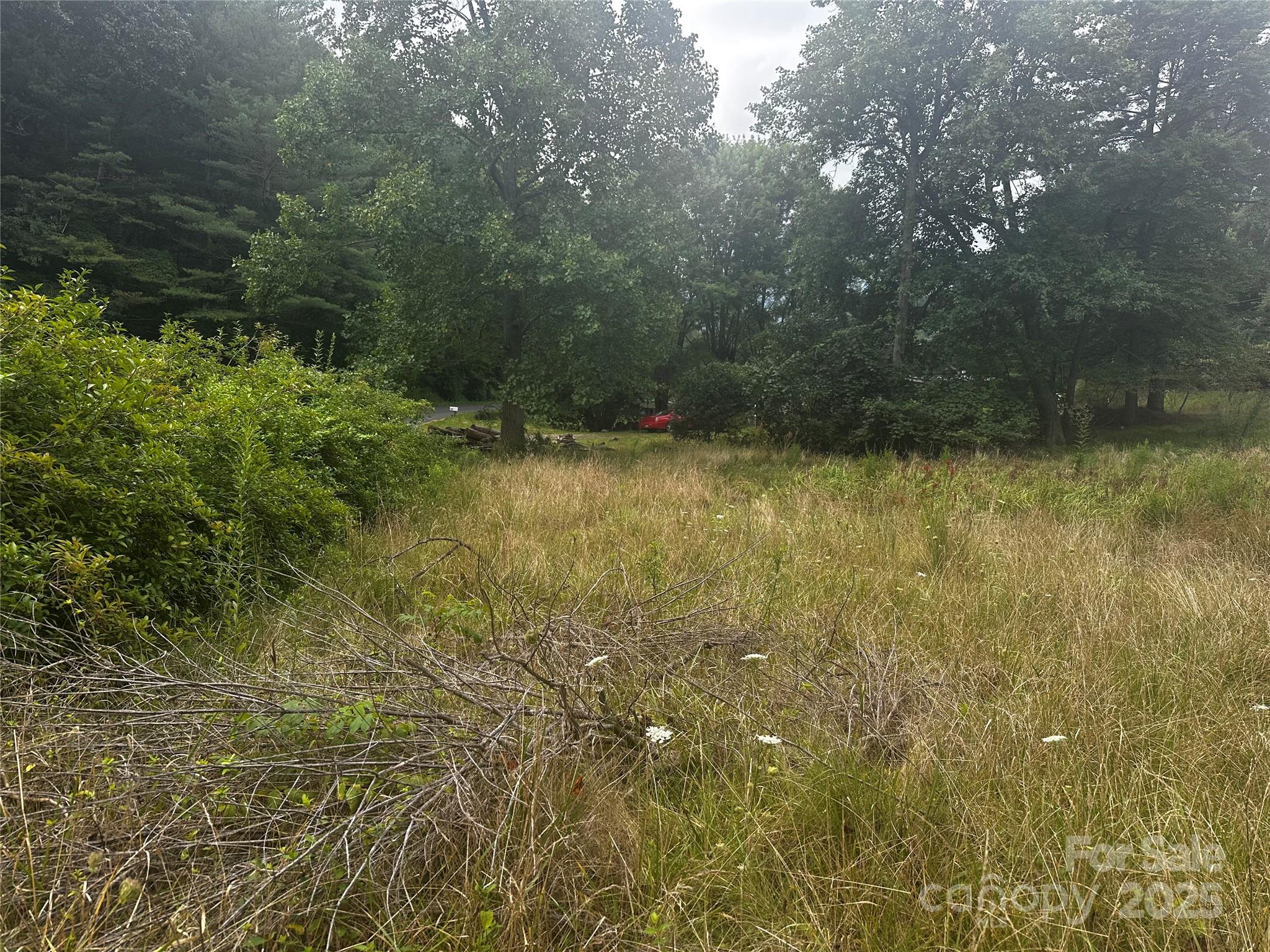539 Saw Mill Hollow