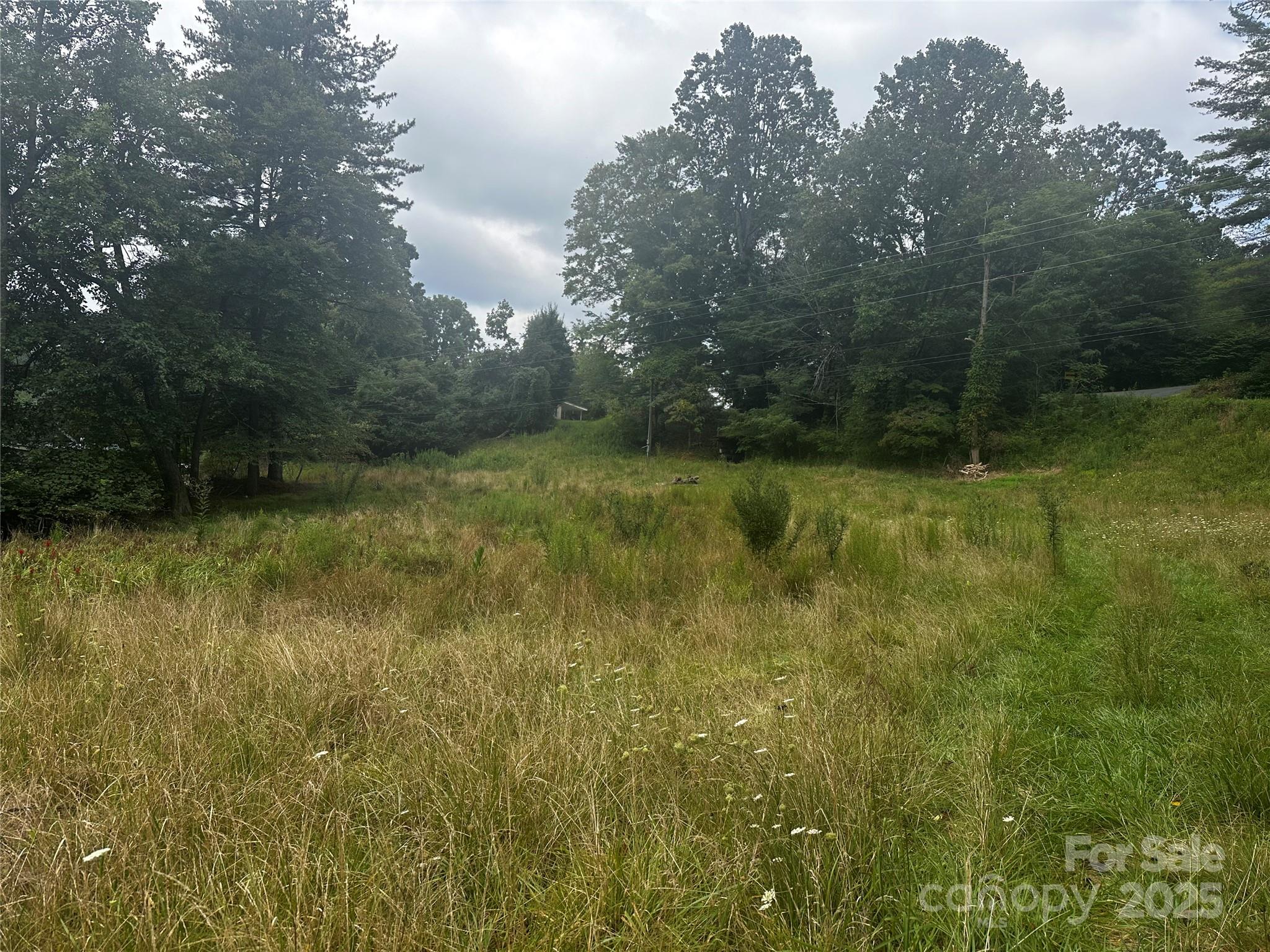 539 Saw Mill Hollow