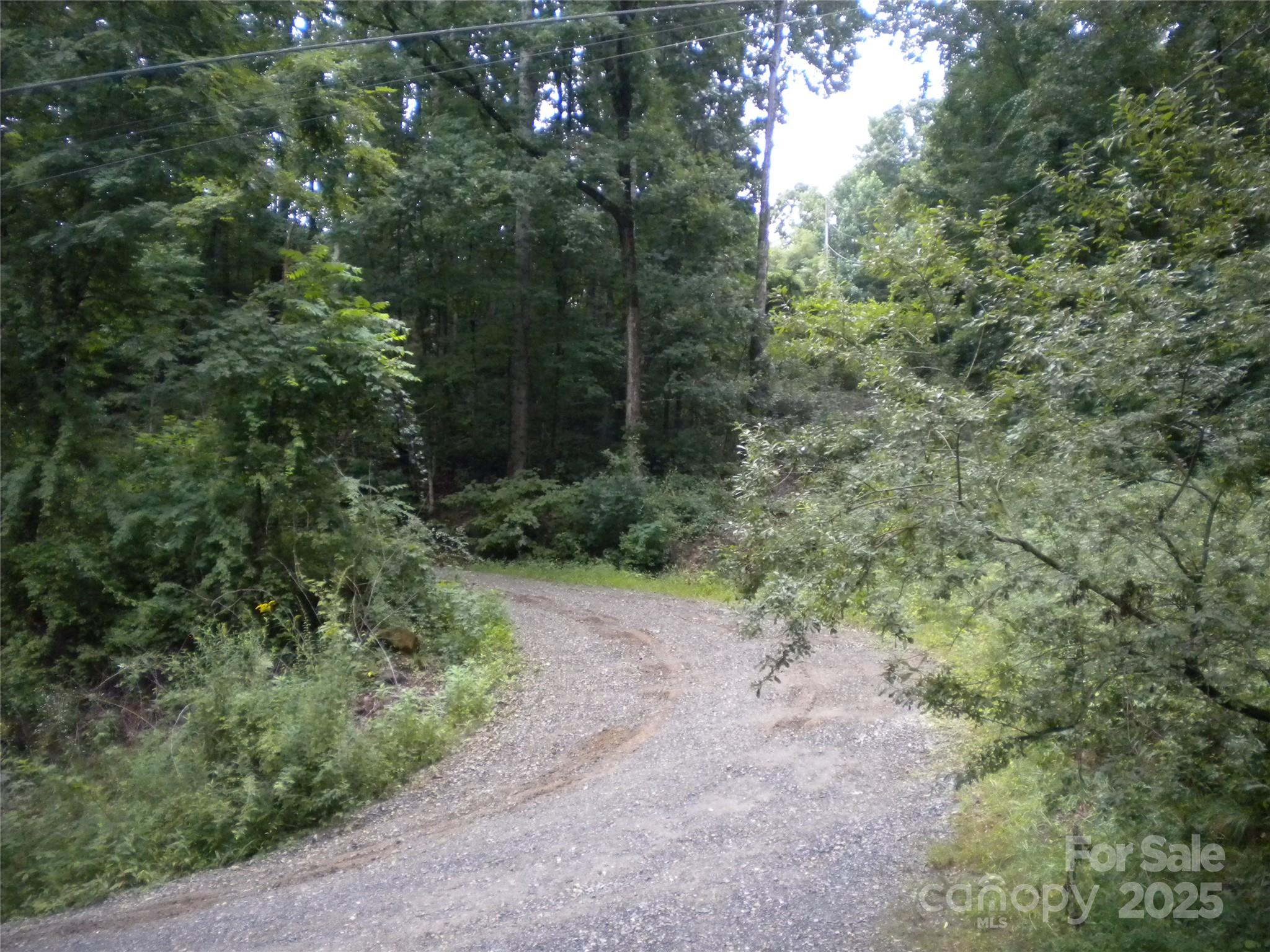 Asheville, North Carolina 28806, United States, 4 Bedrooms Bedrooms, ,2 BathroomsBathrooms,Residential,Active,186498