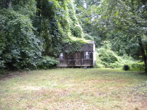 29 Toad Drive