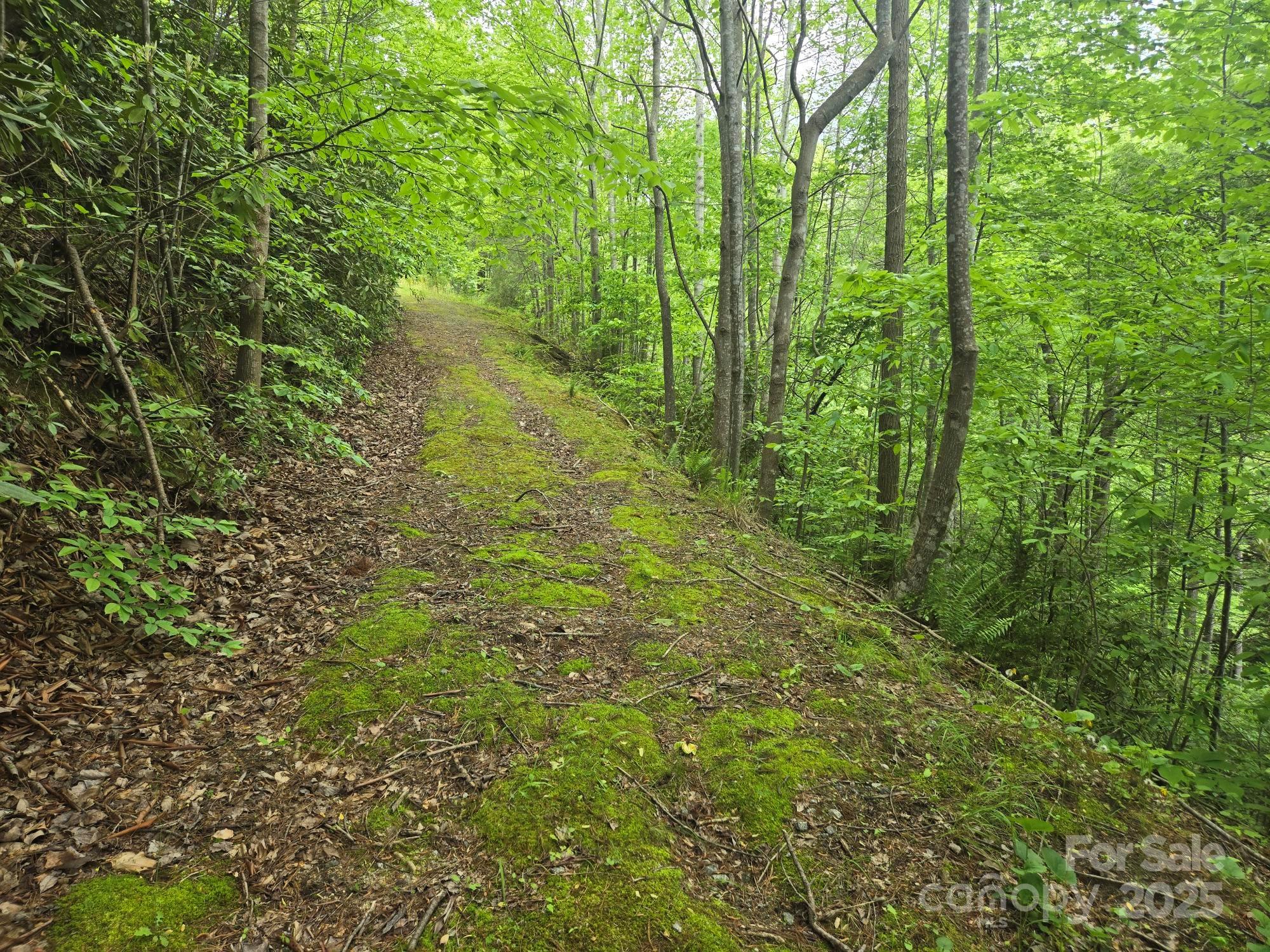 Lot 4 Quail Ridge Boulevard