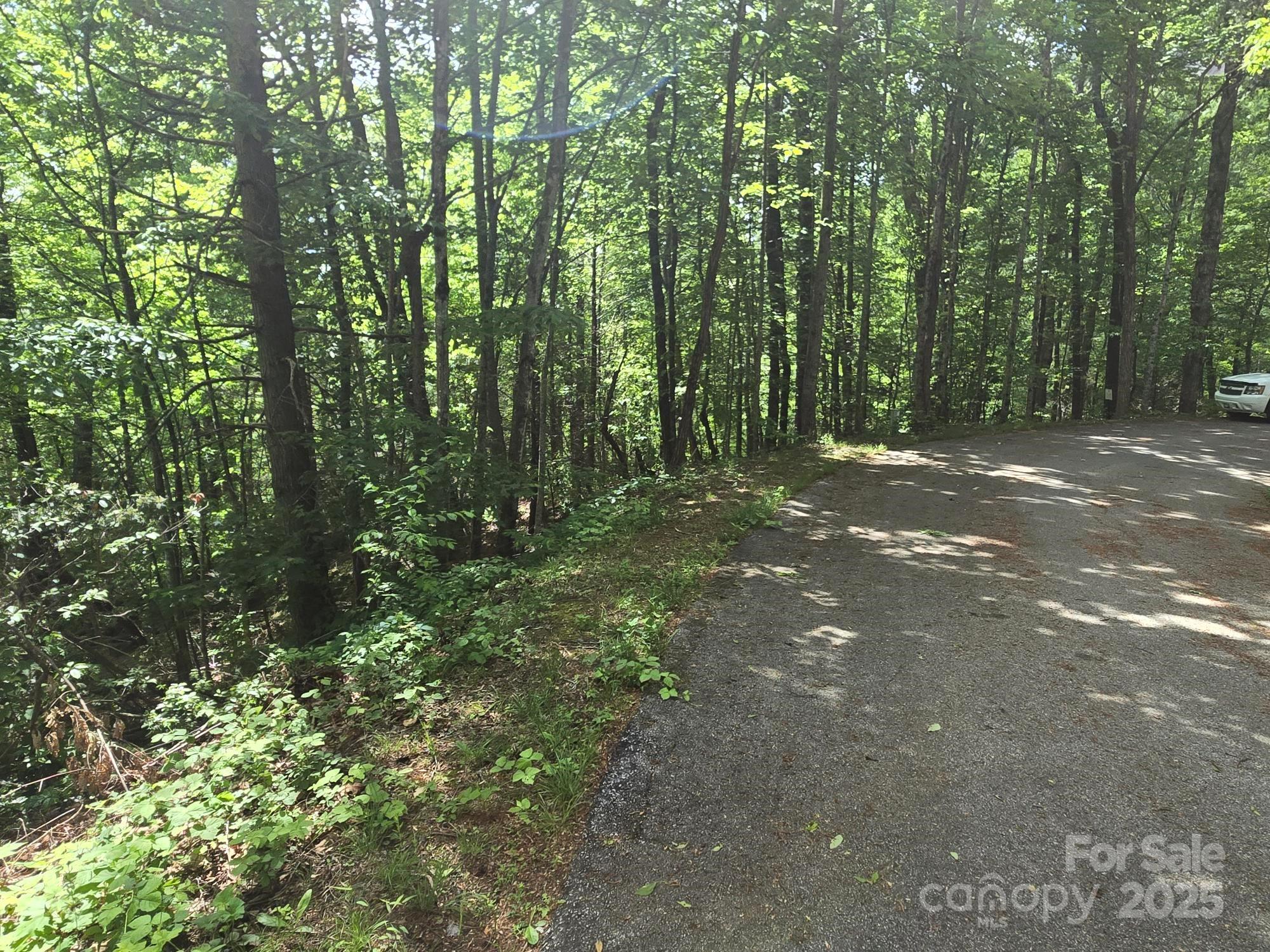 Rumbling Bald on Lake Lure - Land