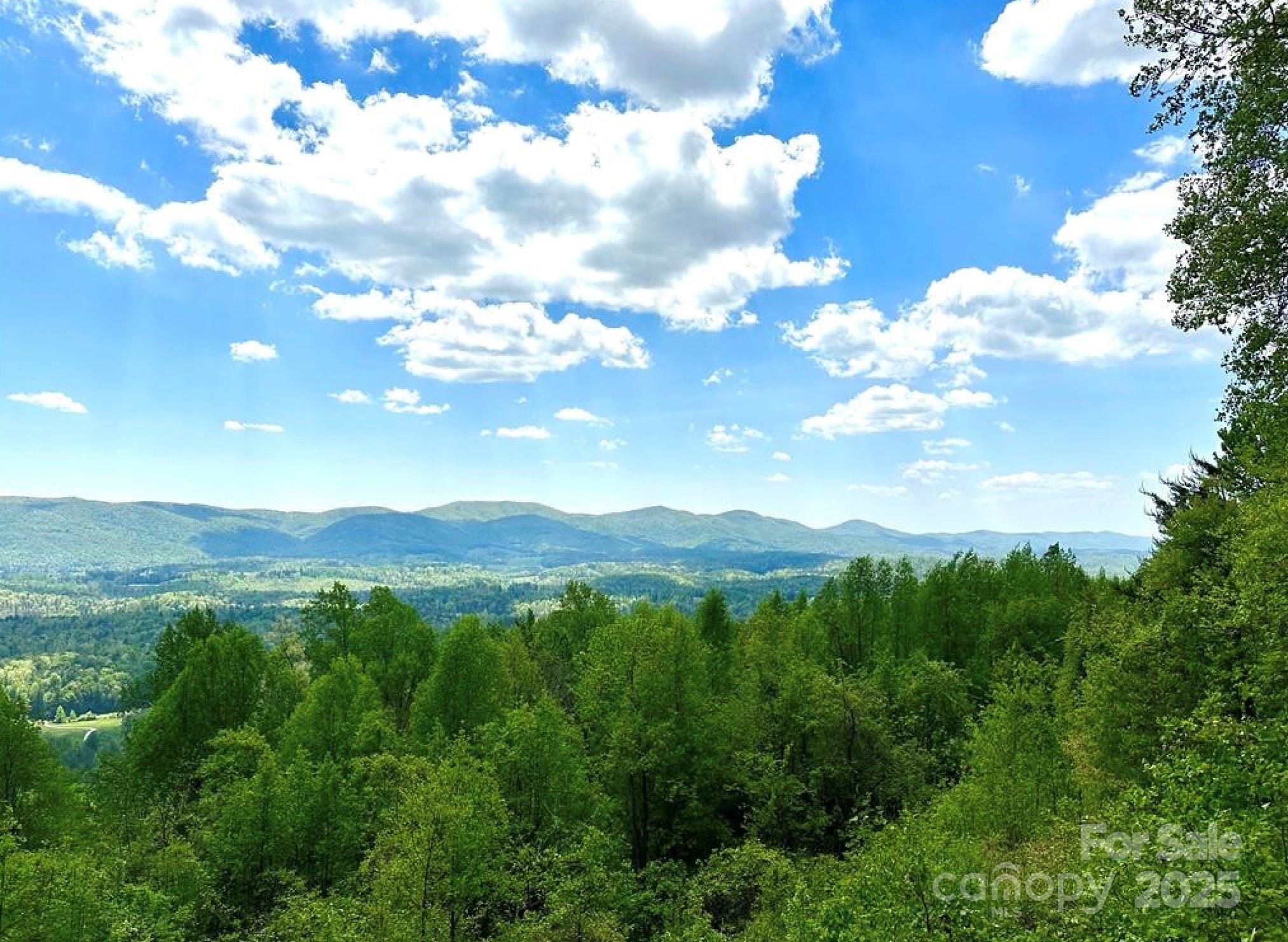 Lot 79 Ridge Run Road 79