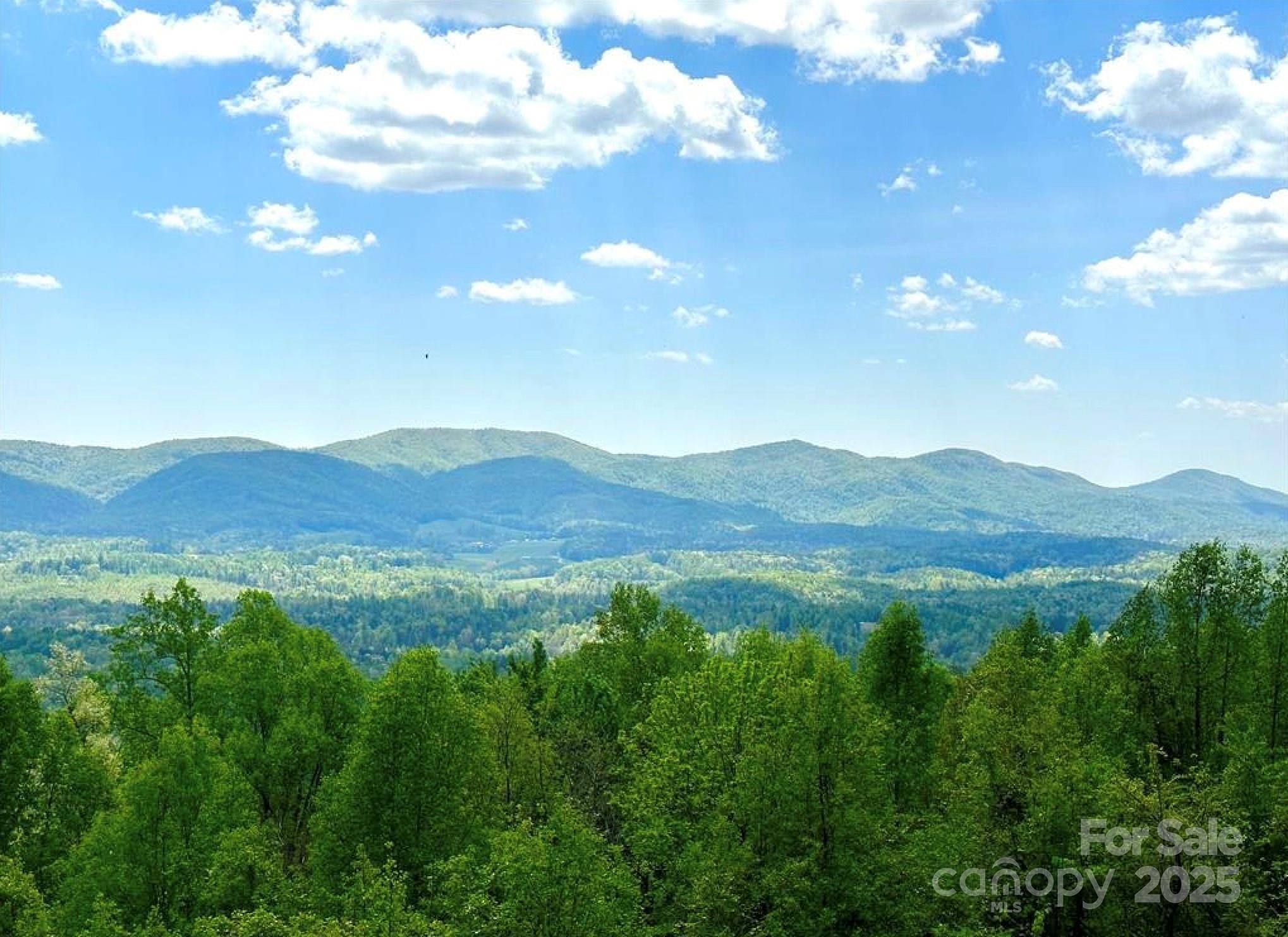Lot 79 Ridge Run Road 79