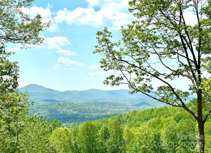 Looking for a building site to lavish and soak in LONG RANGE VIEWS? Here it is! This is a fantastic lot with over 3 acres. Nestled on a mountaintop in the privately gated and serene community of Majestic Mountian. This lot offers a great building site, driveway, and views in all directions. Great location to build a forever home, vacation home, or an investment for short or long term rental. Majestic Mountain is a gated community with amenities that includes a pond and pavilion for picnics and gatherings. Just minutes away from W Kerr Scott Reservoir, Kayaking, swimming, boating, hiking and trails. Short drive to Boone, Blowing Rock and the Blue Ridge Parkway. Land has been perked, Permits on File. BROKER OWNED!