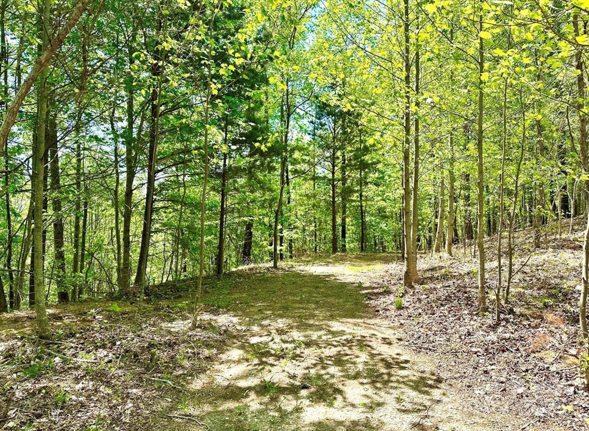Lot 79 Ridge Run Road 79