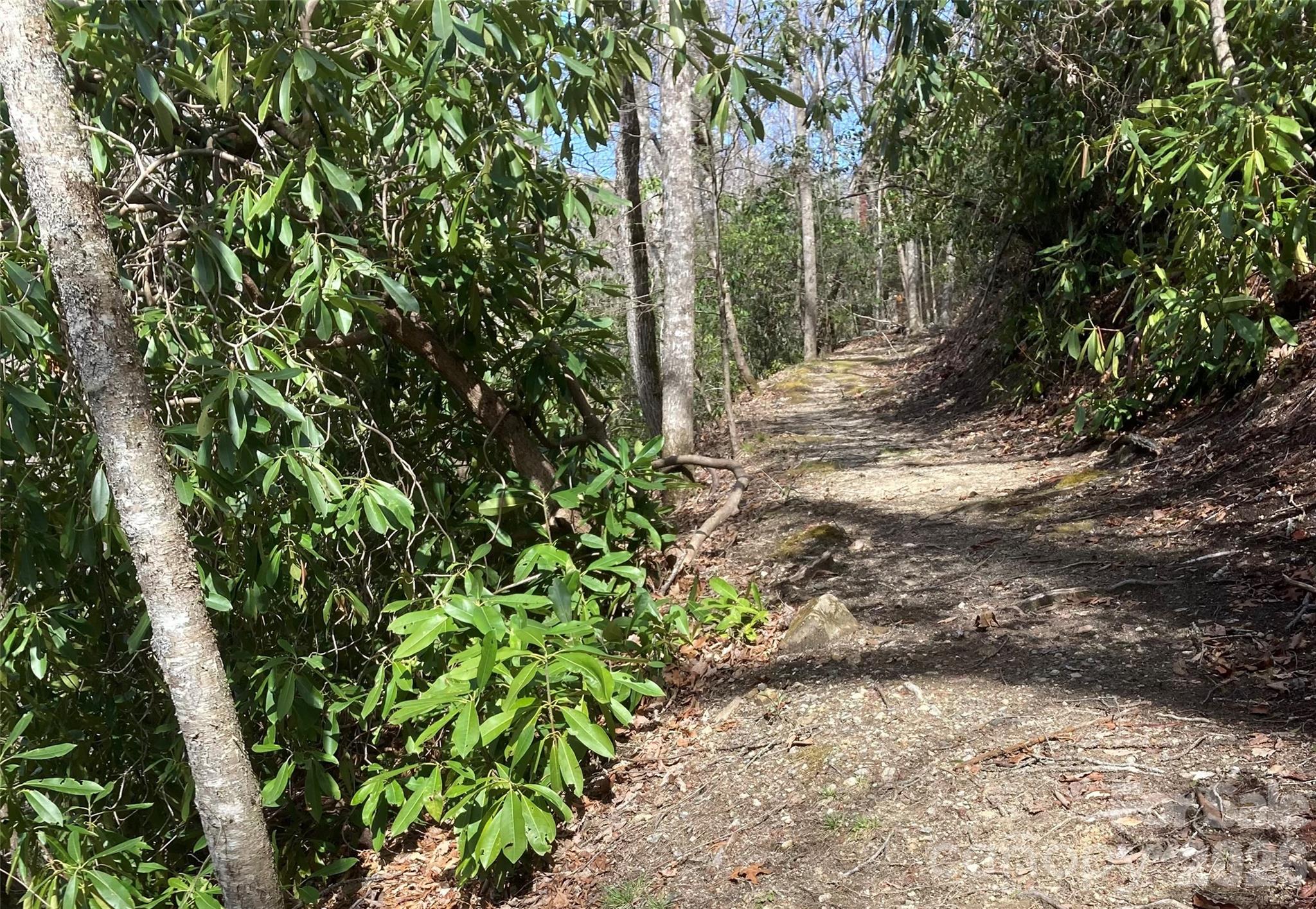 Bear Lake Reserve - Residential