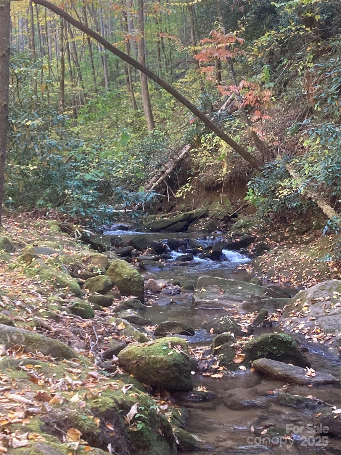 Bear Lake Reserve - Residential