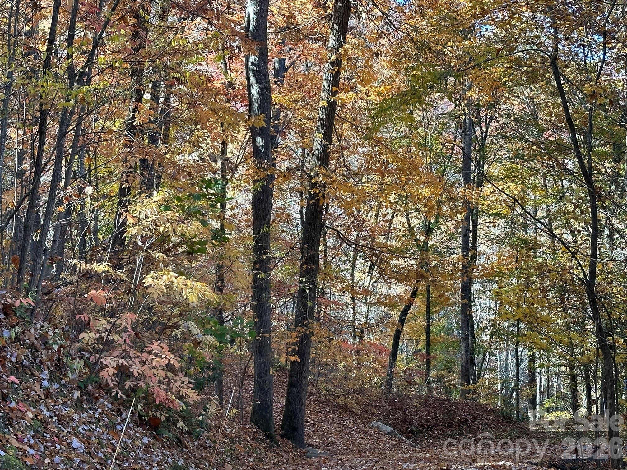 Bear Lake Reserve - Residential