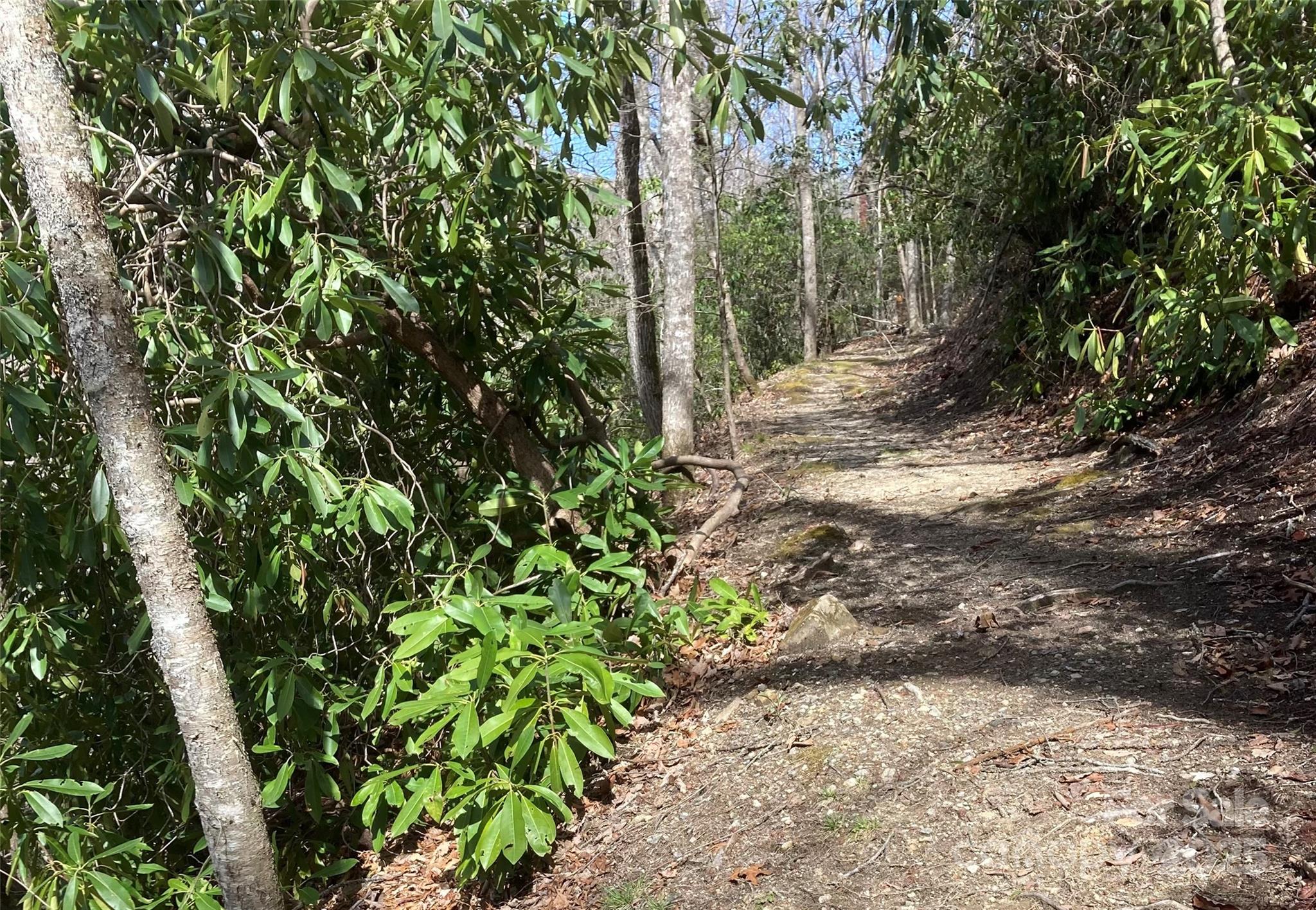 Bear Lake Reserve - Residential