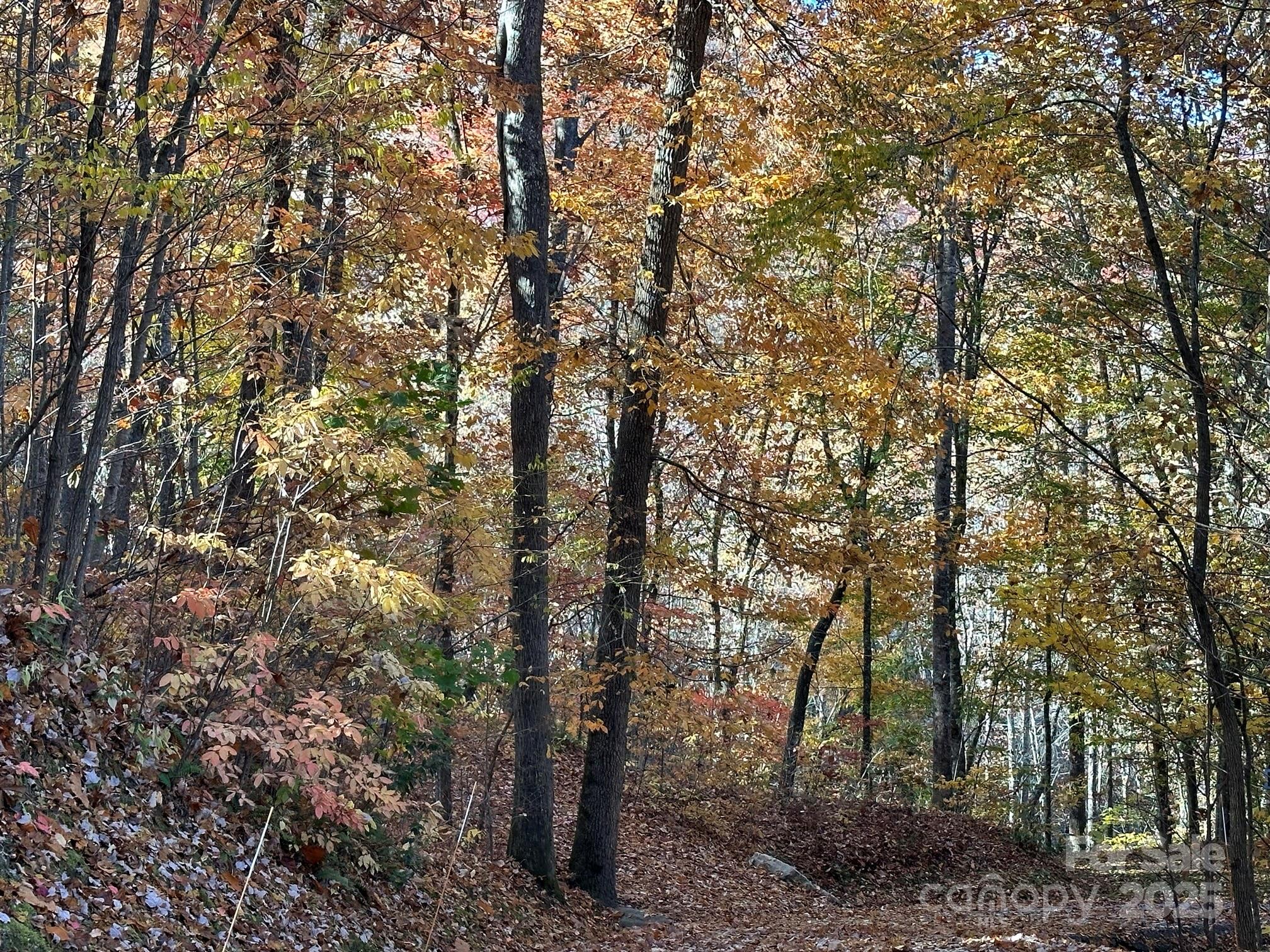 Bear Lake Reserve - Residential