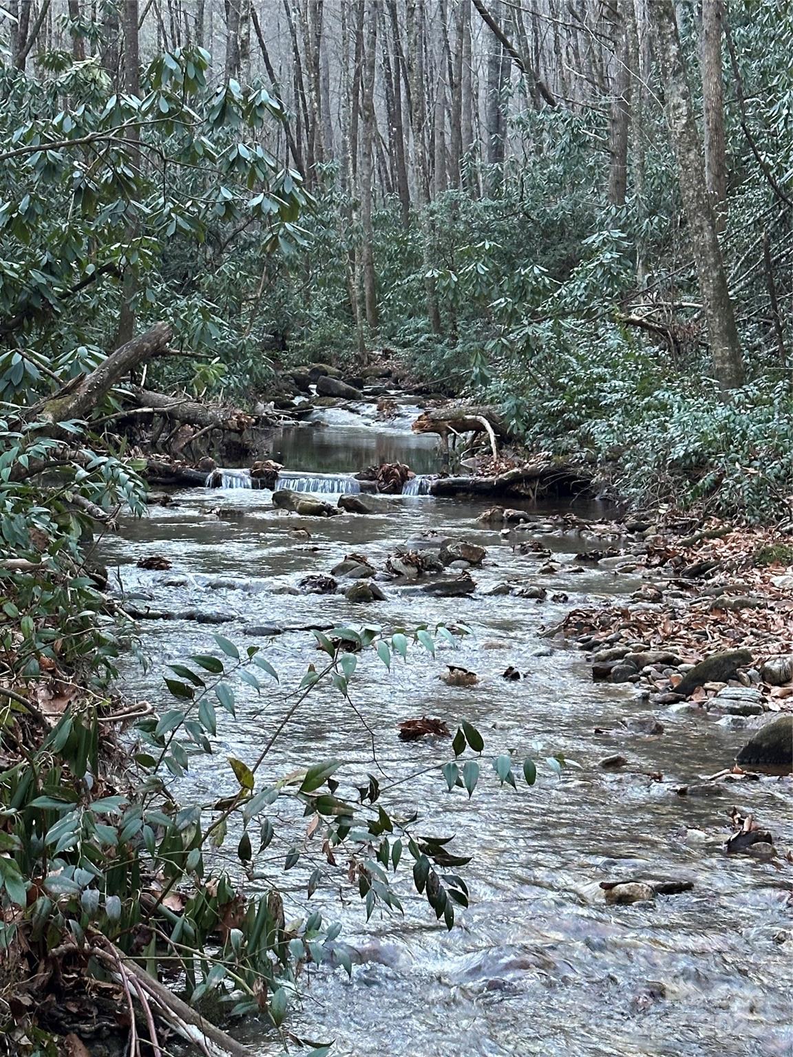 Bear Lake Reserve - Residential