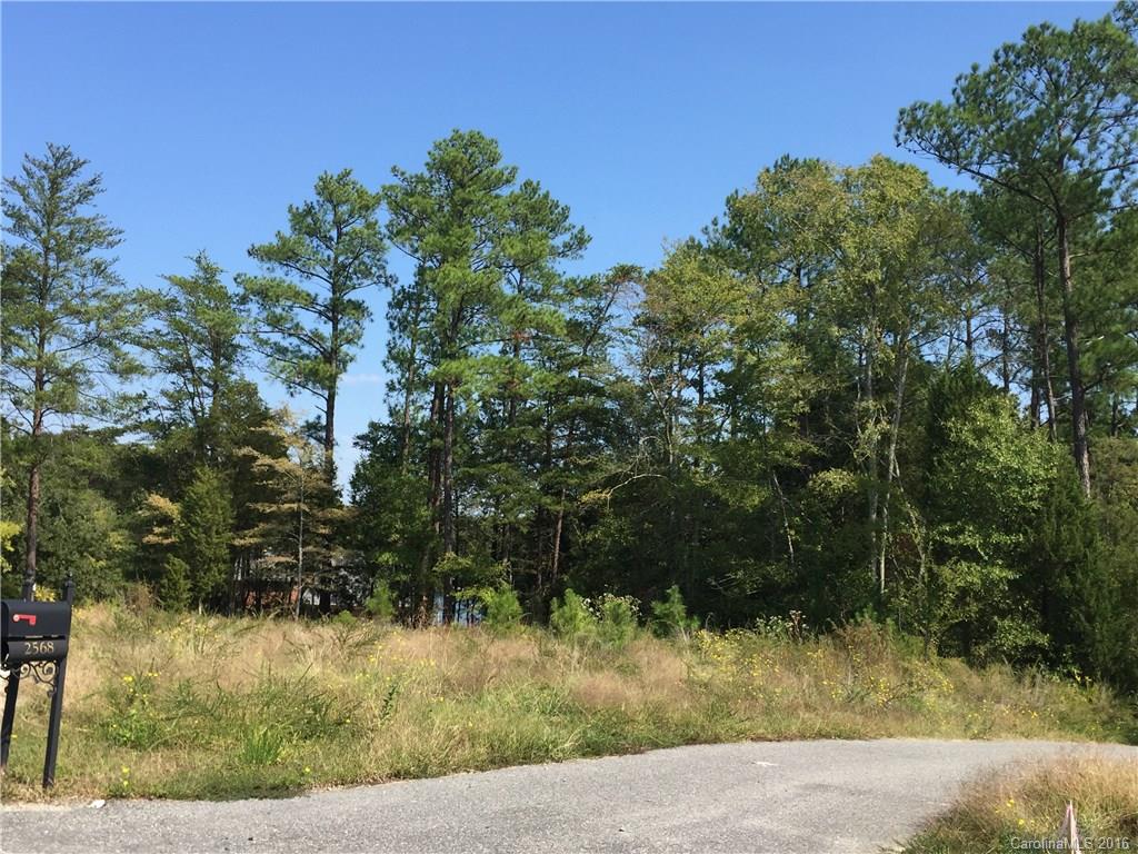 Palm Tree Cove II - Land