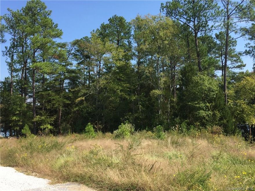 Build on this level homesite on a cul-de-sac in Palm Tree Cove II.  0.7 acres, partially wooded.  Potential waterview, located on the Big Allison channel of Lake Wylie.  Public boat landing is just a couple miles away, super convenient to put your boat in the water and have fun on the lake.