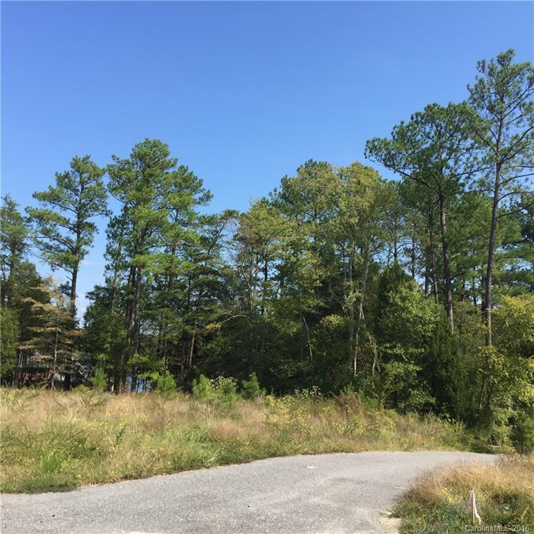 Palm Tree Cove II - Land