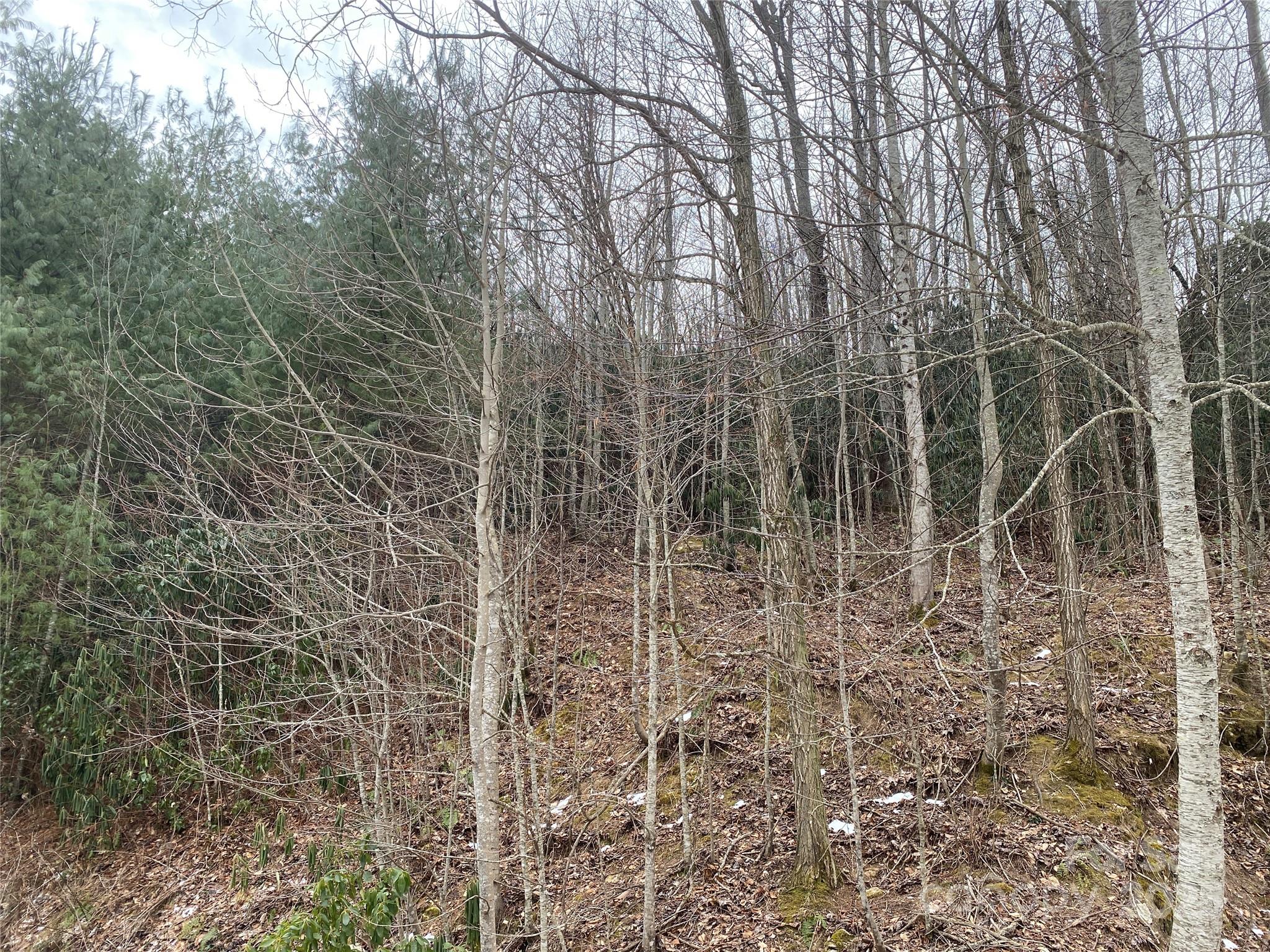 lot 1906 Preserve Court