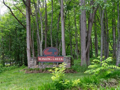 000 Roaring Creek Lane Waynesville NC 28785