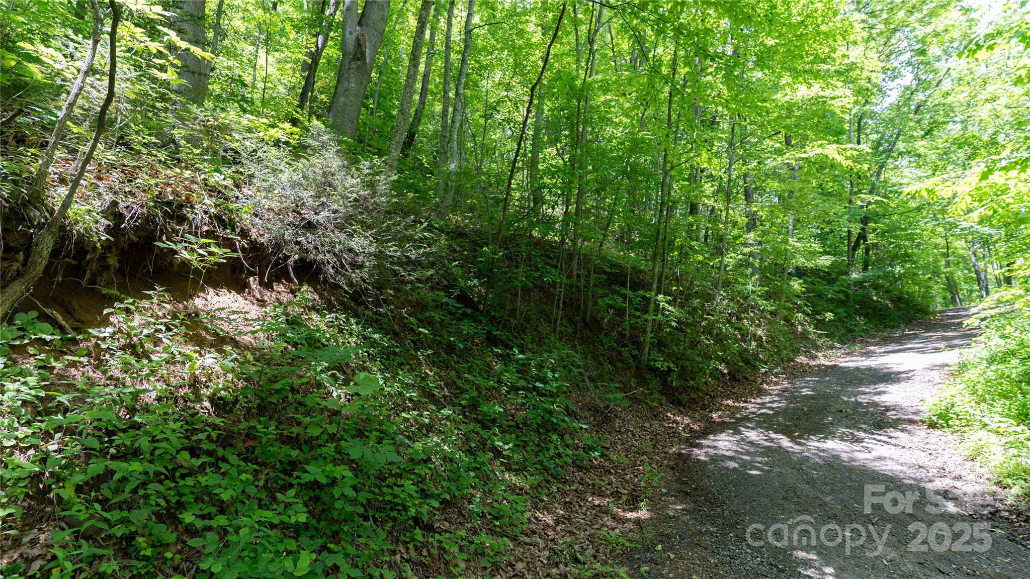 000 Roaring Creek Lane