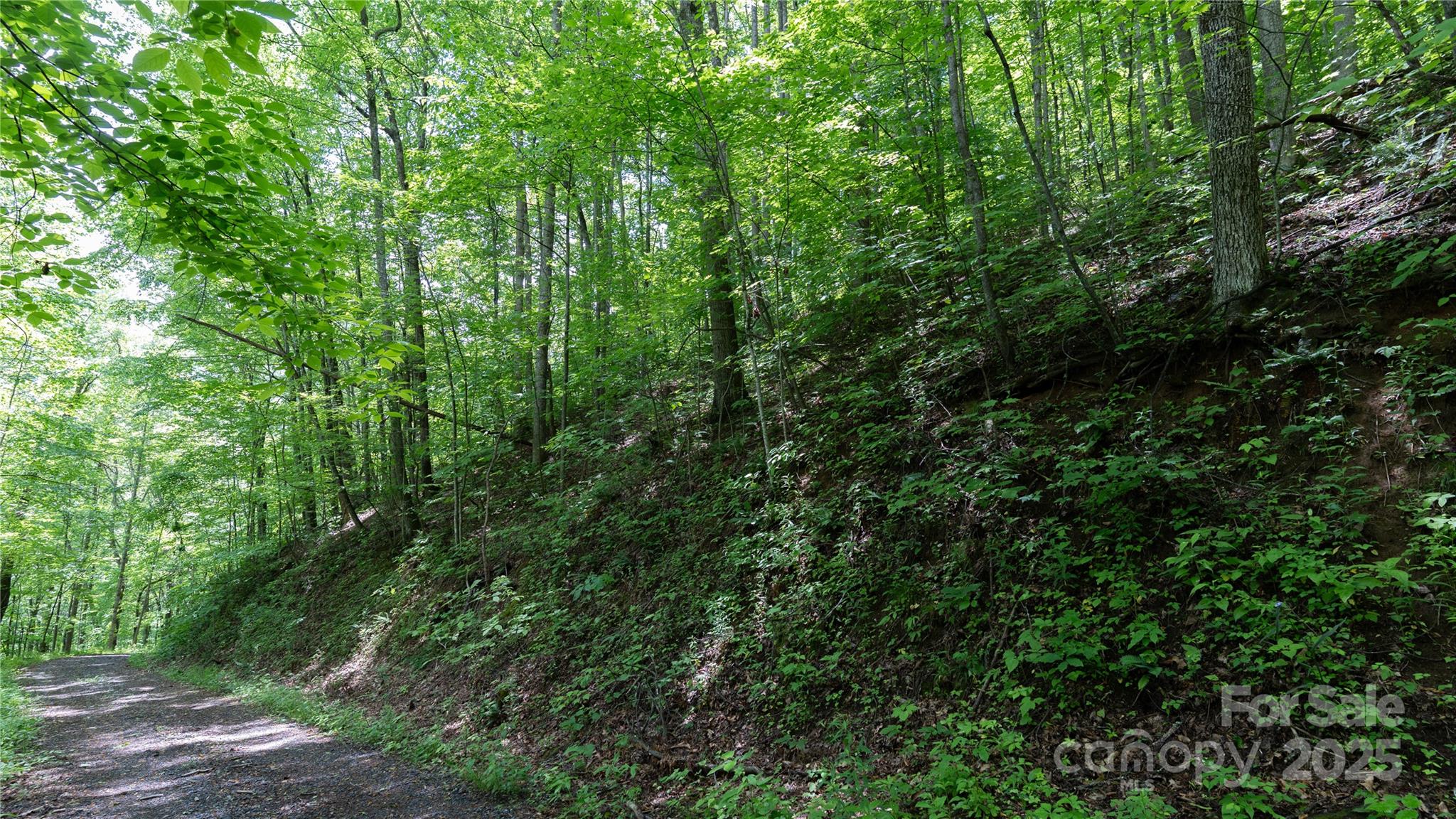 000 Roaring Creek Lane