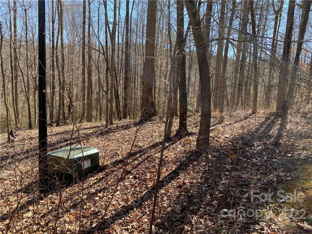 000 Rambling Creek Road 16