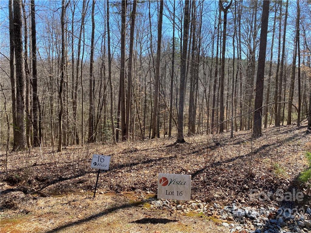 000 Rambling Creek Road 16