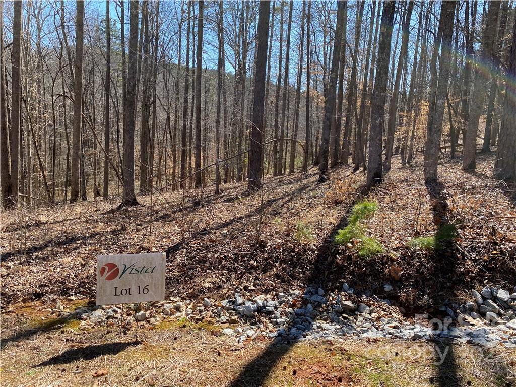 000 Rambling Creek Road 16