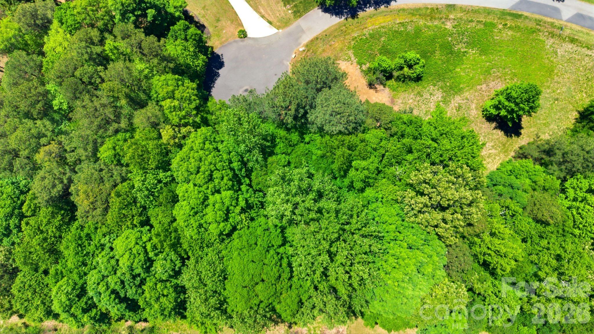 lot 5 Shoreline Drive