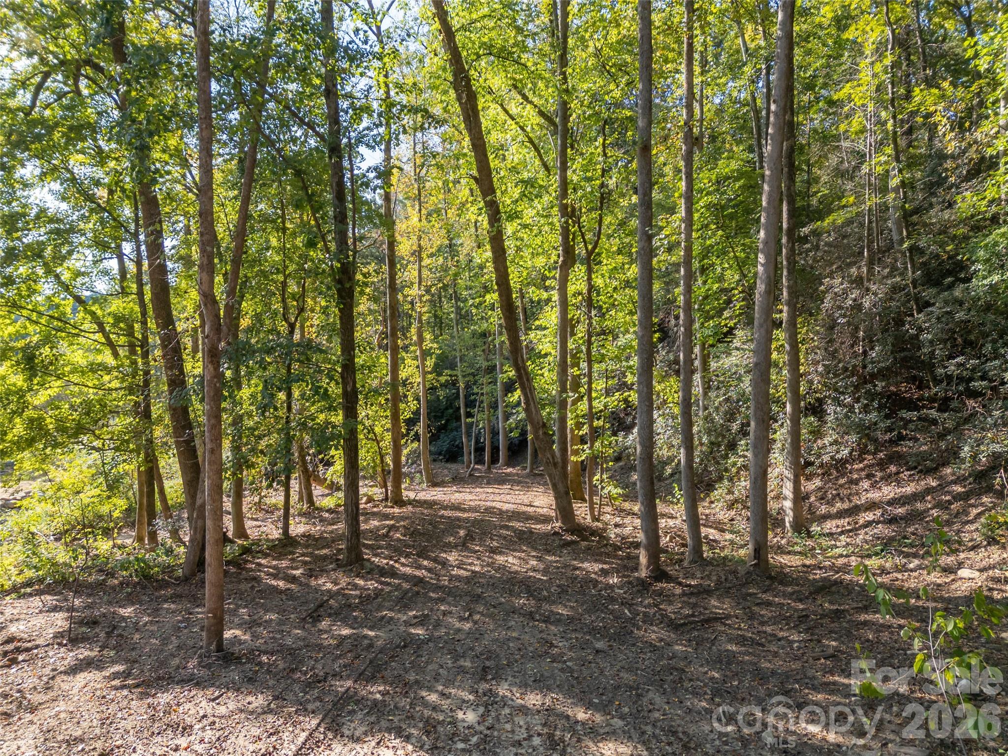 0 Firefly Cove 9