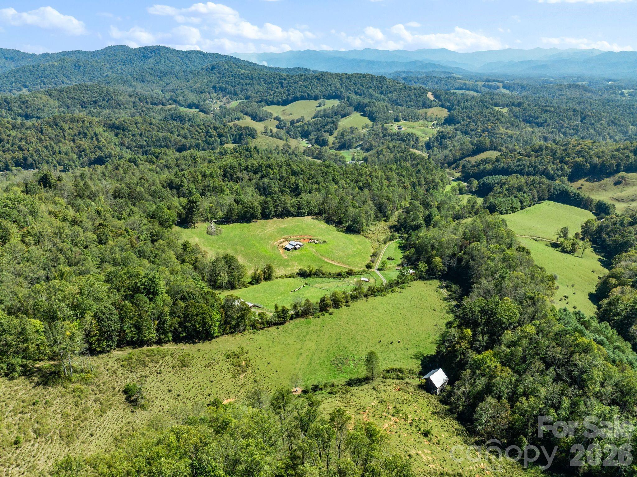 99 Quill Ammons Hollow