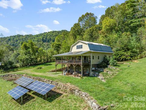 99 Quill Ammons Hollow Marshall NC 28753