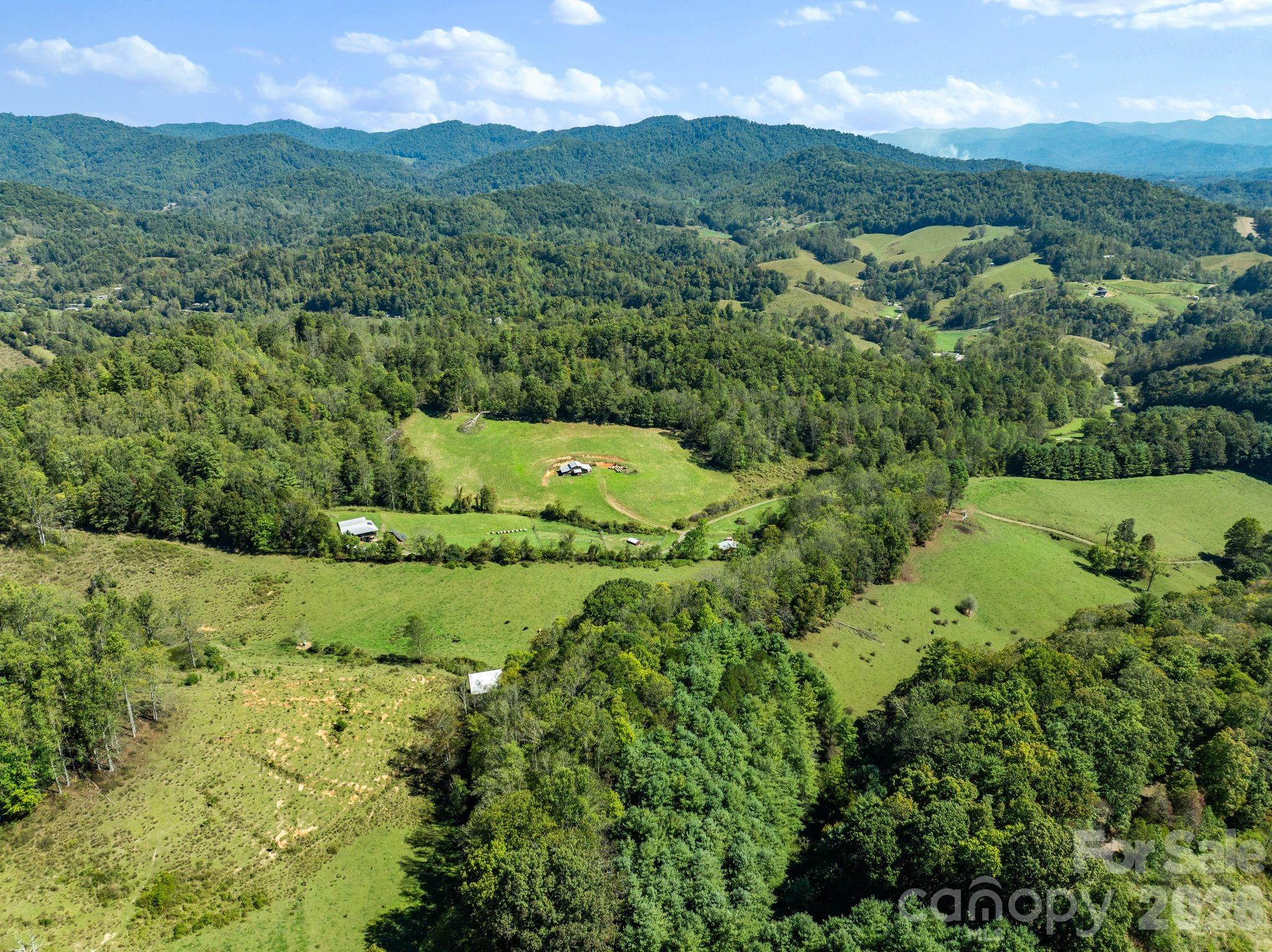 99 Quill Ammons Hollow