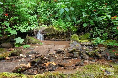 15 Mountain Mint Drive Swannanoa NC 28778