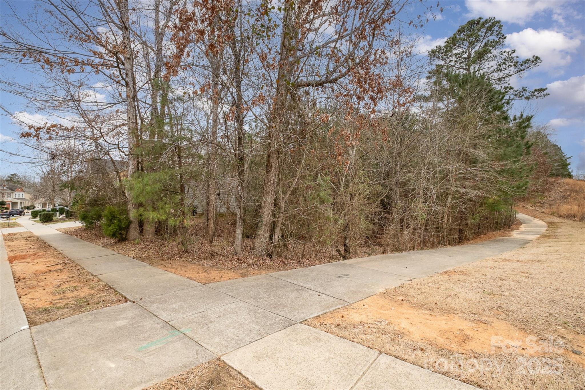 Lake Ridge - Residential