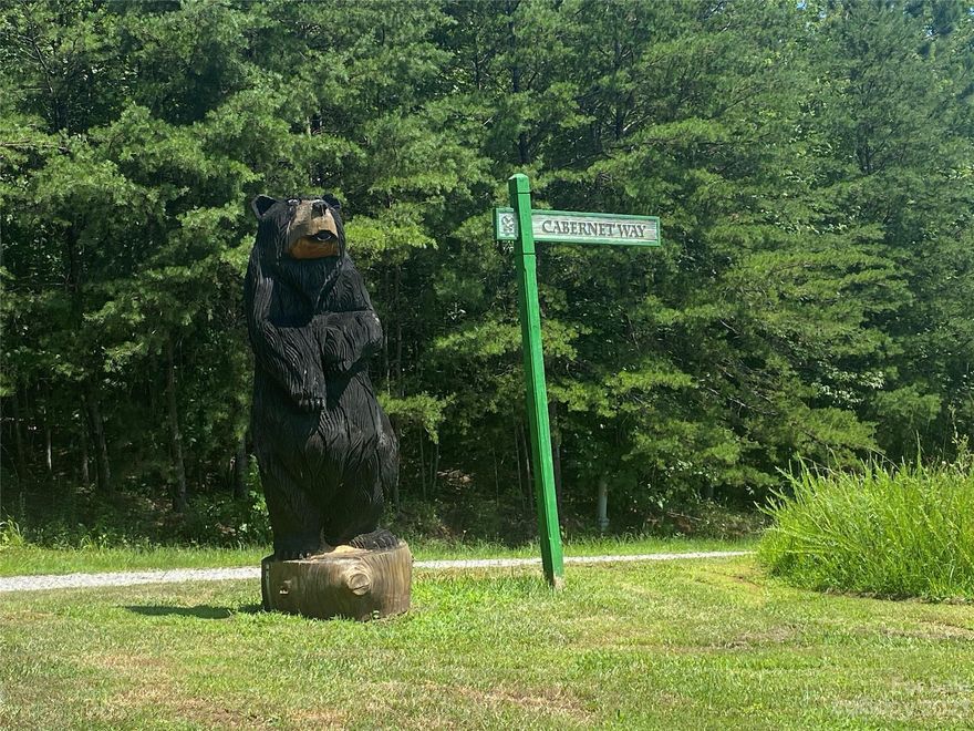 RARE UNRESTRICTED LOT located at Lake Lure in the Vineyards. Bring your Tiny home, RV, or camper. No time limit to build. There is a $300.00 per year road maintenance fee. Small creek. Flat with great building sites. Short drive to restaurants, golf courses, and walking/mountain biking trails. If you are looking for a place to bring your RV or camper and build later... this is it. Come see this great property today...