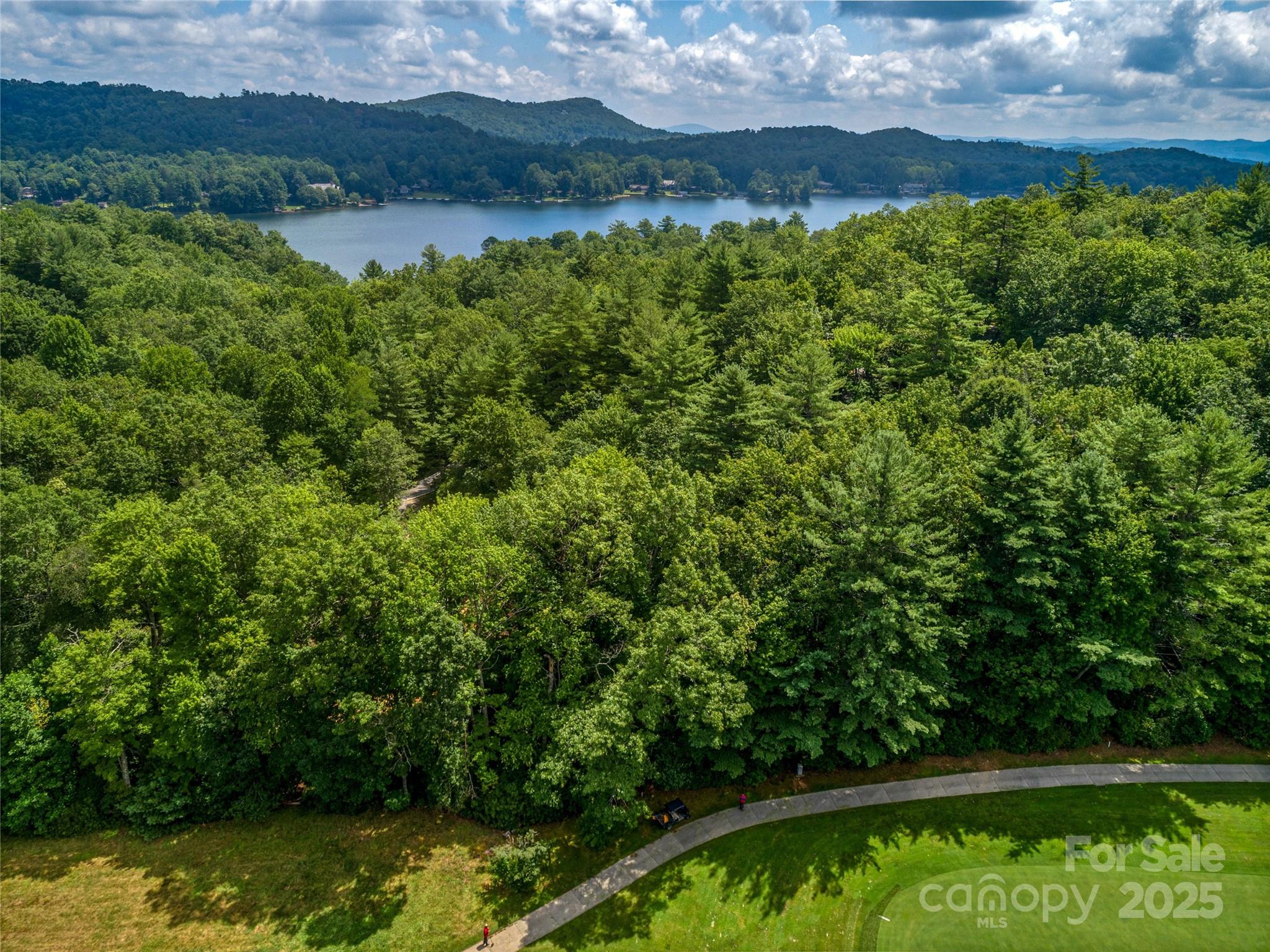 Lake Toxaway Estates - Land