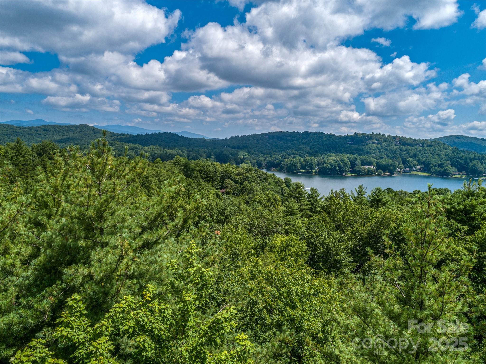 Lake Toxaway Estates - Land
