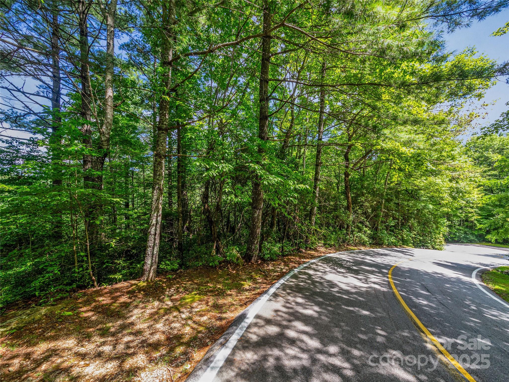 Lake Toxaway Estates - Land