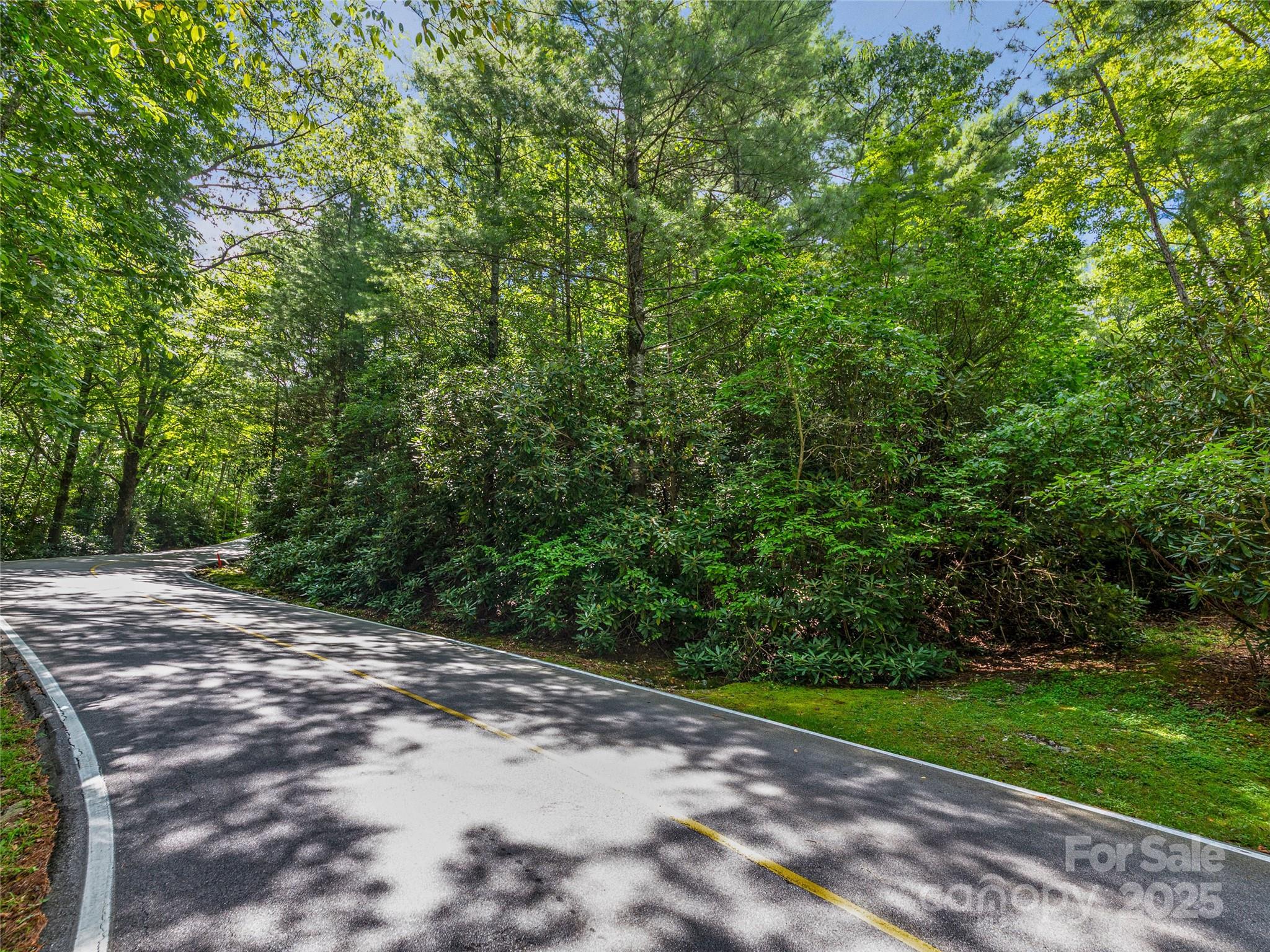 Lake Toxaway Estates - Land