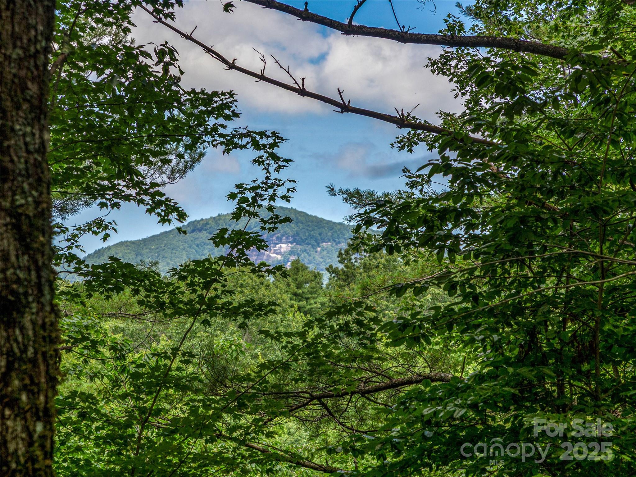 Lake Toxaway Estates - Land