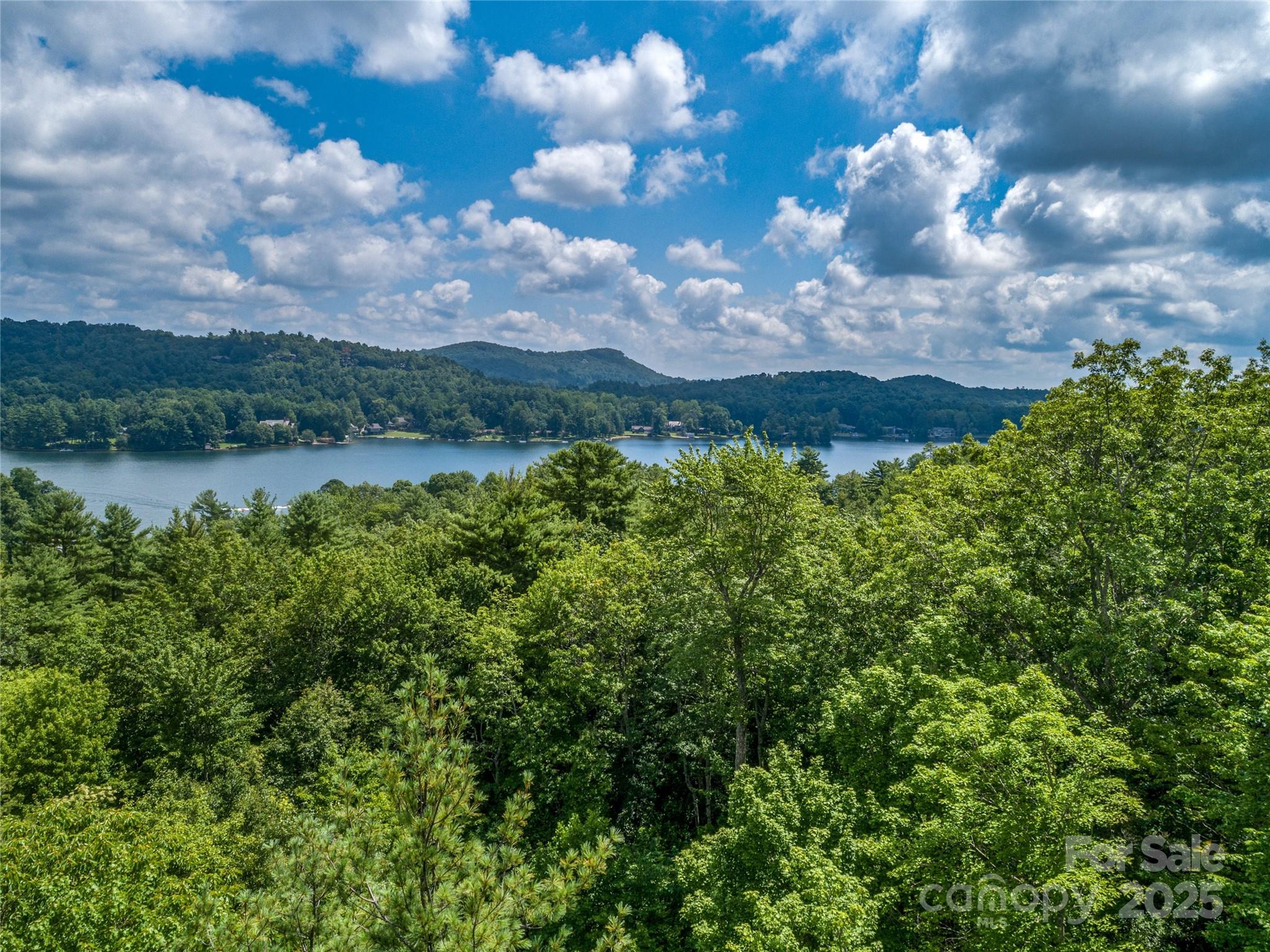 Lake Toxaway Estates - Land