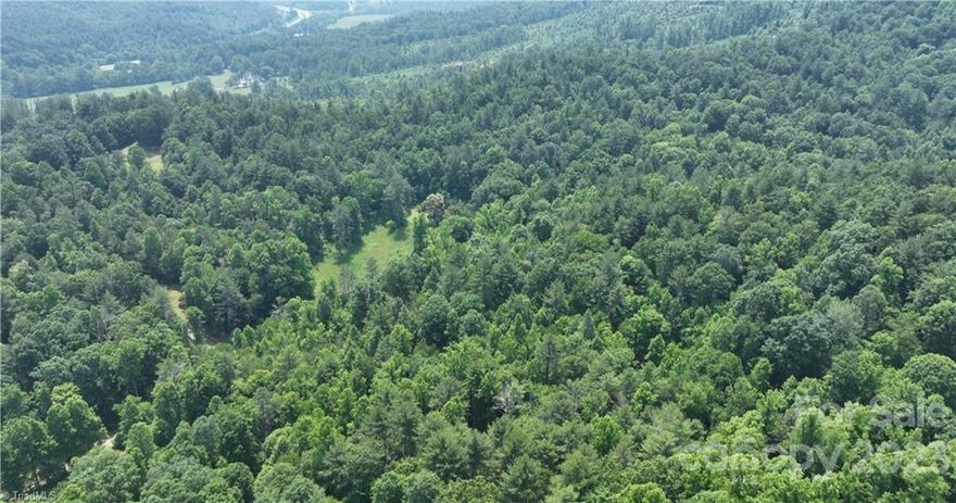 For those seeking a serene and picturesque escape, this land is for you! Located in the heart of nature, this property promises an unparalleled experience of beauty and tranquility. The land is surrounded by an abundance of natural beauty, including mature trees, creek, wildflowers, and wildlife. The property offers ample space for outdoor activities, such as hiking, camping, and picnicking. Perfect spot for a primary or 2nd home for those who want to be off the beaten path and bond with nature. Whether you are looking to build a home, cabin or simply have a picnic by the creek, this property offers an unparalleled opportunity.