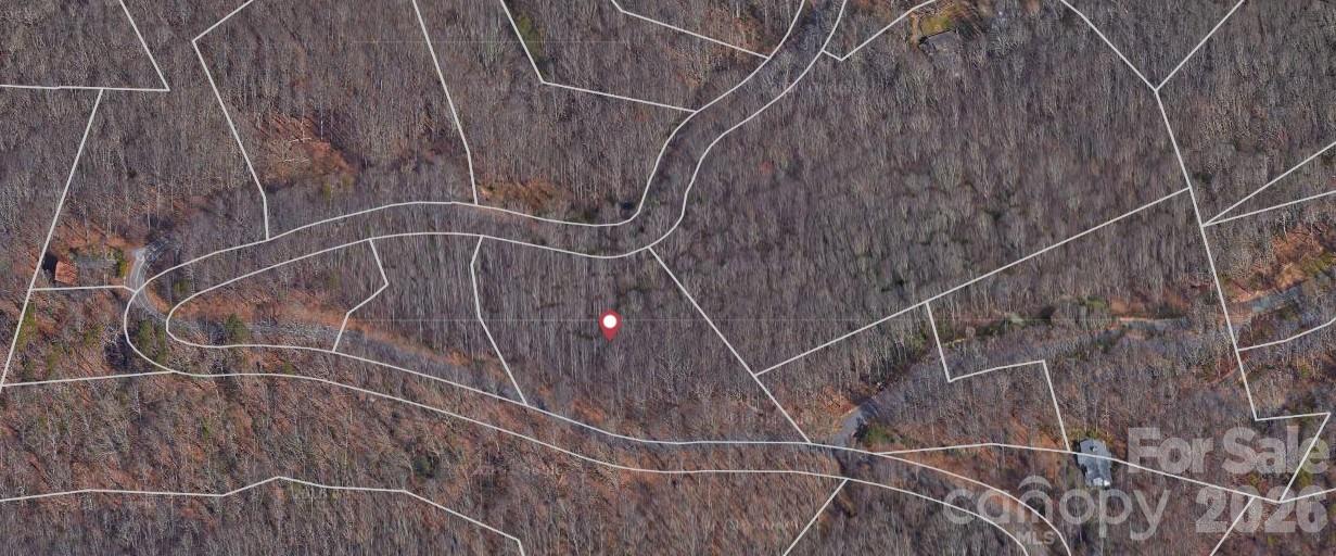Lot 3 Cedar Mountain Road 3