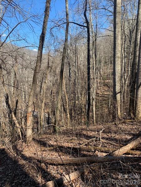 Lot 3 Cedar Mountain Road 3