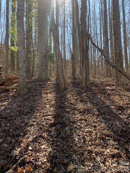 Lot 3 Cedar Mountain Road 3